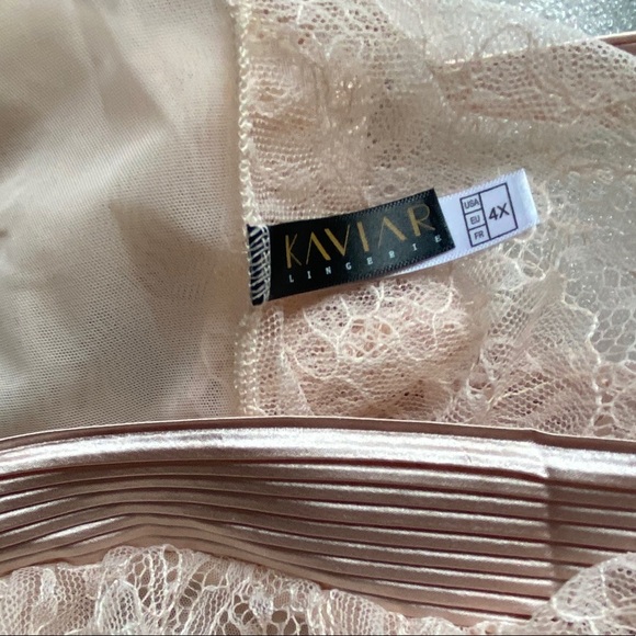 Luxe Lace Plunge Bodysuit - Blush - Picture 6 of 6